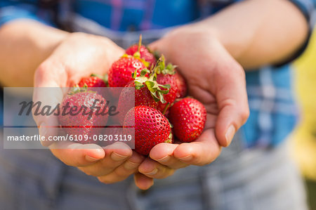 Woman showing her organic strawberries