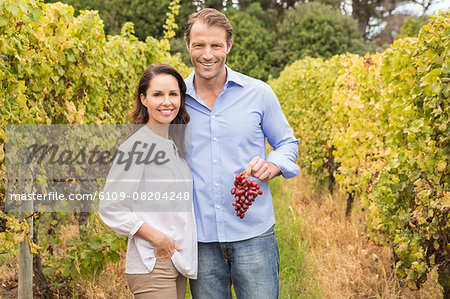 Smiling couple of vintners picking bunch of grapes