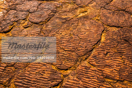 Close-up of a dried up sea's ripple marks in stone at Kings Canyon, Watarrka National Park, Northern Territory, Australia