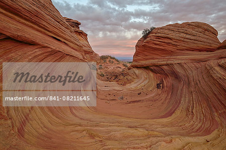 Red and yellow sandstone wave channel, Coyote Buttes Wilderness, Vermilion Cliffs National Monument, Arizona, United States of America, North America