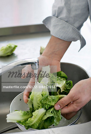 Man washing lettuce in sink