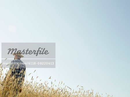 A man standing in a field of ripening wheat crop.