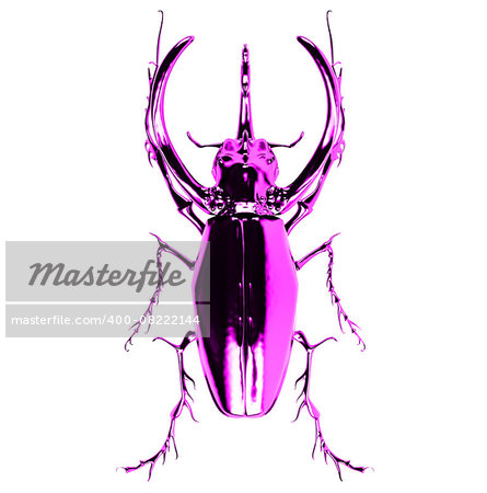 pink  rhinoceros beetle. 3D rendering