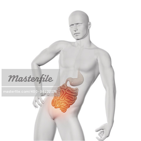 3D render of a male medical figure with exposed guts