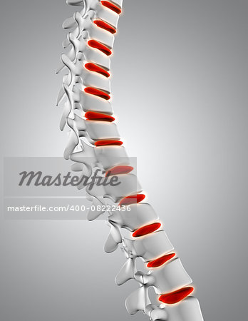 3D render of a spine close up with discs highlighted