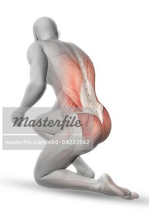 3D male medical figure with partial muscle map in kneeling position