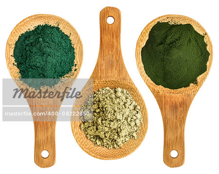 spirulina, kelp and chlorella supplement powders - top view of isolated wooden spoon