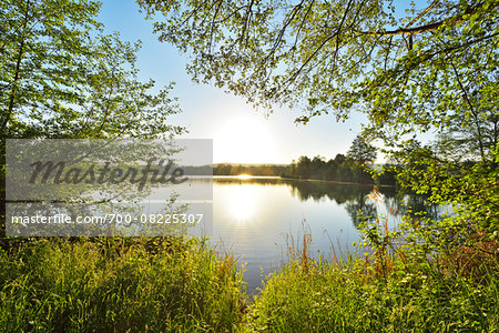 Sunrise on the shoreline on a Lake, Niedernberg, Miltenberg-District, Churfranken, Franconia, Bavaria, Germany