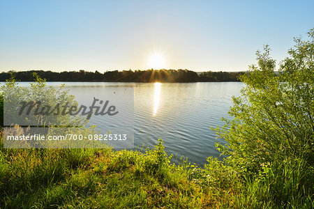 Sunrise on Lake, Niedernberg, Miltenberg-District, Churfranken, Franconia, Bavaria, Germany