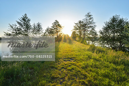 Pathway with Sun in Spring, Niedernberg, Miltenberg-District, Churfranken, Franconia, Bavaria, Germany