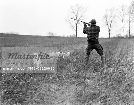 1920s MAN HUNTER WITH SHOTGUN WORKING TWO HUNTING DOGS ON POINT AND HONOR IN GRASSY FIELD