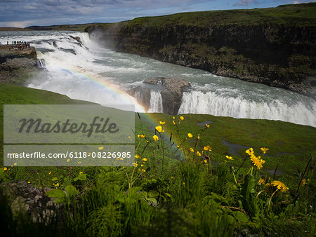 Gullfoss with rainbow and flowers