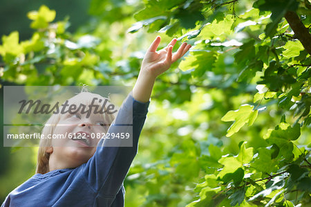 Boy examining leaves outdoors