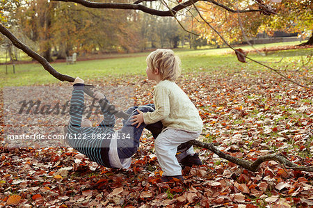 Boys playing on tree outdoors