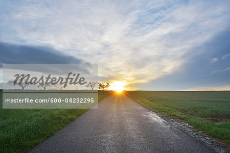 Rural Road at Sunrise, Schippach, Miltenberg, Odenwald, Bavaria, Germany