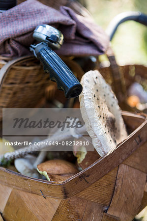 Close up of bicycle handlebar basket with foraged mushrooms