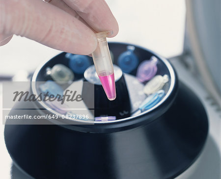 Centrifuge being used to separate samples into their components by spinning them in tubes at high speed Centrifuge being used to separate samples into their components by spinning them in tubes at high speed