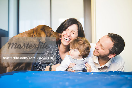 Mid adult couple laughing with toddler daughter and pet dog