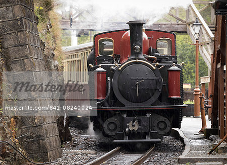 Steam engine Dafydd Lloyd George at Tan-y-Bwlch Station on the Ffestiniog Railway, Wales, United Kingdom, Europe