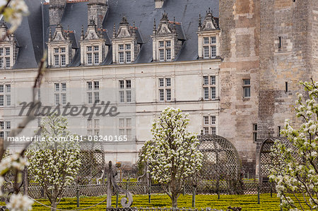 Symmetrically beautiful gardens at the chateau of Villandry, UNESCO World Heritage Site, Loire Valley, Indre et Loire, Centre, France, Europe