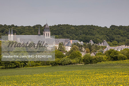 Looking towards the abbey of Fontevraud, Loire Valley, France, Europe