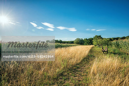 HDR capture of a secluded spot in the hills, with a wooden bench facing fields and a blue sky, Baden-Wurttemberg, Germany, Europe