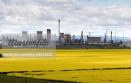 Grangemouth oil refinery and fields of rapeseed, Stirlingshire, Scotland, United Kingdom, Europe