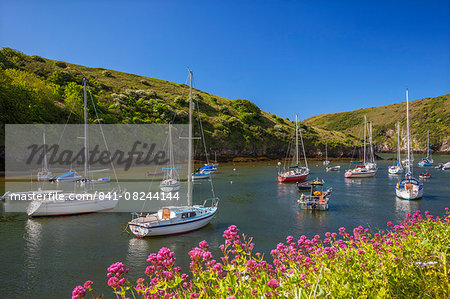 Solva Harbour, Pembrokeshire, Wales, United Kingdom, Europe