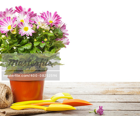 Potted flower and garden tools. Isolated on white background