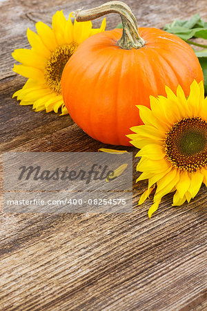 one orange pumpkin with sunflowers  on wooden textured  table