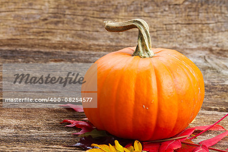 one orange pumpkin with fall leaves  on wooden textured  table