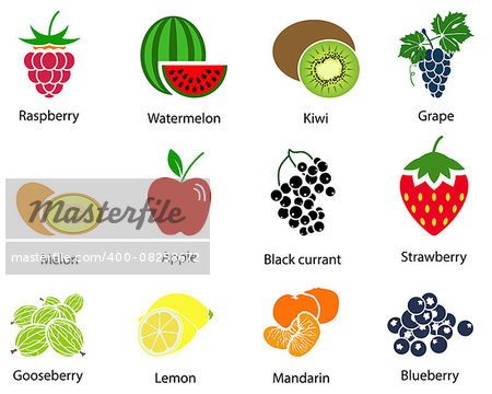 Set of cute fruit icons with title over white background. Vector illustration.