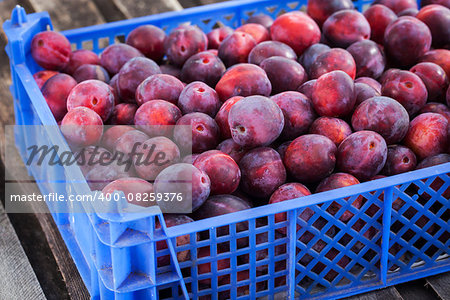 Fresh ripe red plums in a plastic box