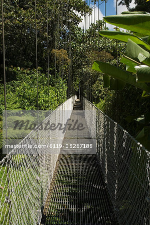 Hanging Bridges a walk through the rainforest, Arenal, Costa Rica