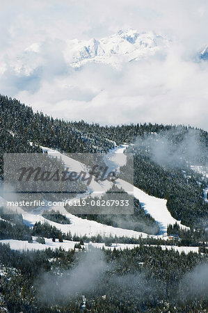 Tree lined ski slopes, Whistler mountain resort, venue of the 2010 Winter Olympic Games, British Columbia, Canada, North America