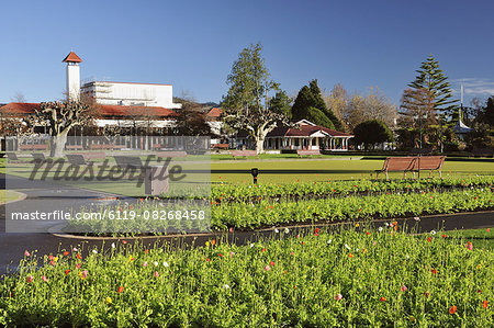 Government Gardens, Rotorua, Bay of Plenty, North Island, New Zealand, Pacific