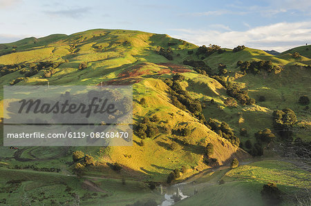 Farmland near Taraka, Gisborne, North Island, New Zealand, Pacific