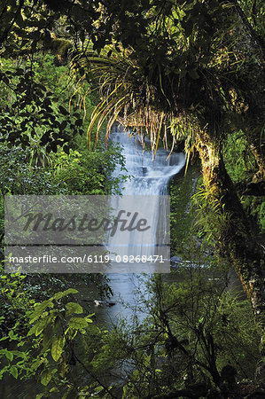 Bridal Veil Falls, Te Urewera National Park, Bay of Plenty, North Island, New Zealand, Pacific