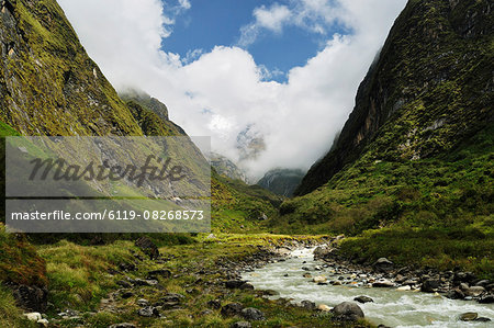 Modi Khola Valley, Annapurna Sanctuary, Annapurna Conservation Area, Gandaki, Western Region (Pashchimanchal), Nepal, Asia