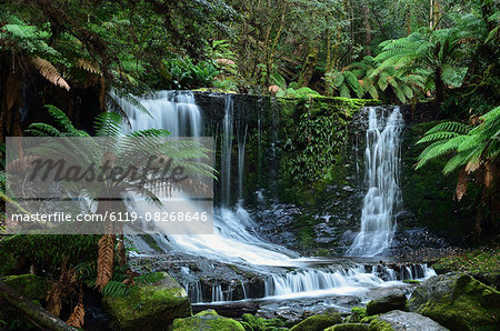 Horseshoe Falls, Mount Field National Park, UNESCO World Heritage Site, Tasmania, Australia, Pacific