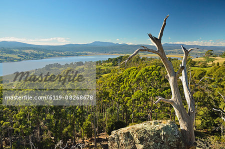 River Tamar, Tamar Valley, Tasmania, Australia, Pacific