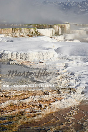Main Terrace Hot Spring with snow, Mammoth Hot Springs, Yellowstone National Park, UNESCO World Heritage Site, Wyoming, United States of America, North America