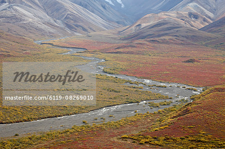 Braided river in the fall, Denali National Park and Preserve, Alaska, United States of America, North America