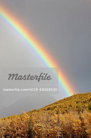 Rainbow with fall colors near King Mountain State Recreation Area and Chickaloon, Alaska, United States of America, North America