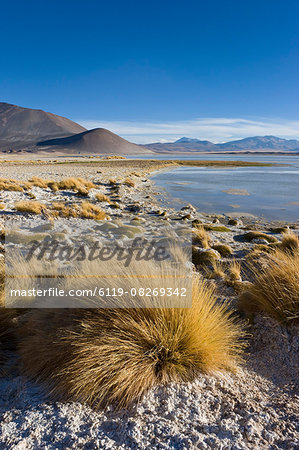 The altiplano at an altitude of over 4000m looking over the salt lake Laguna de Tuyajto, Los Flamencos National Reserve, Atacama Desert, Antofagasta Region, Norte Grande, Chile, South America