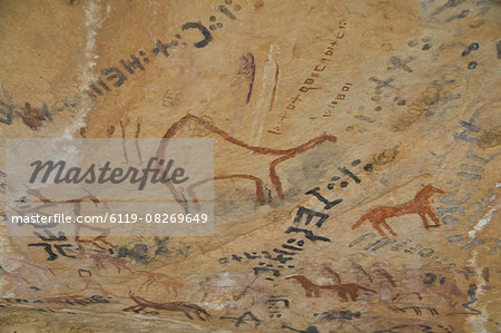 Rock paintings in the Tassili n'Ajjer, UNESCO World Heritage Site, Southern Algeria, North Africa, Africa