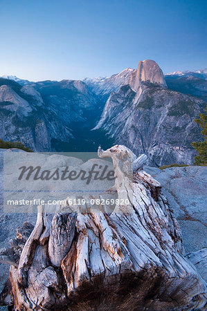 Half Dome from Glacier Point, Yosemite National Park, UNESCO World Heritage Site, California, United States of America, North America