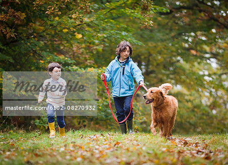 Boys with dog walking through forest