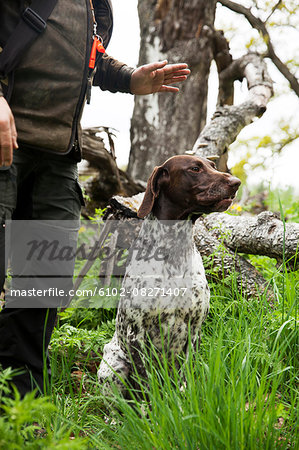 Hunter with hunting dog