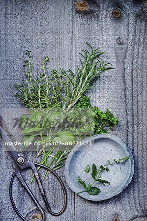 Scissors and herbs on wooden background